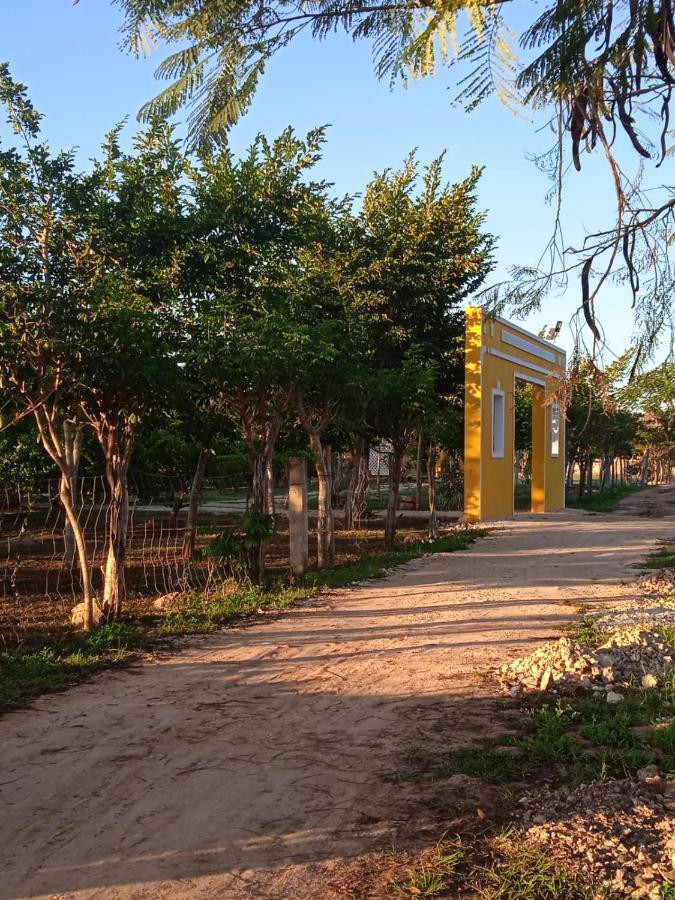 Ecohotel Shalom 巴利亚多利德 外观 照片