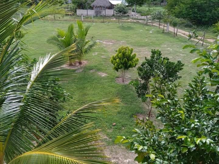 Ecohotel Shalom 巴利亚多利德 外观 照片