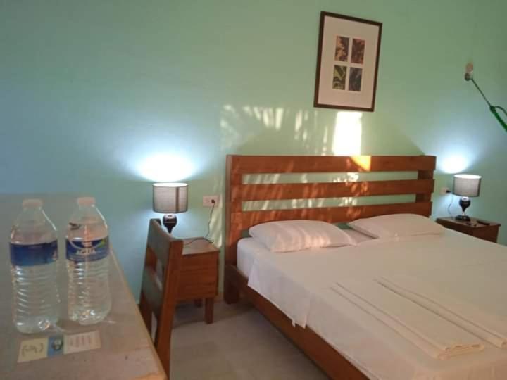 Ecohotel Shalom 巴利亚多利德 外观 照片