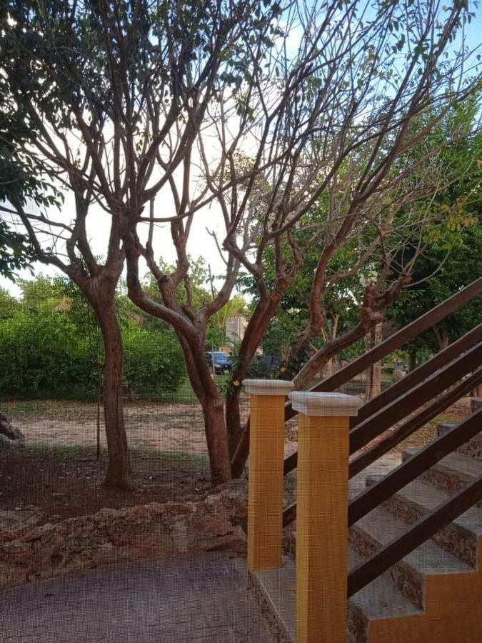 Ecohotel Shalom 巴利亚多利德 外观 照片