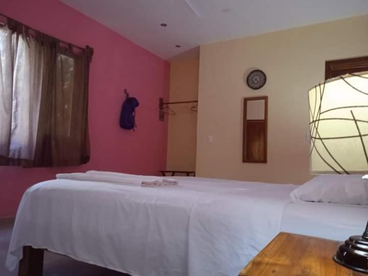 Ecohotel Shalom 巴利亚多利德 外观 照片