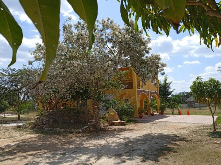 Ecohotel Shalom 巴利亚多利德 外观 照片